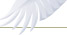 Rareheron Web Design